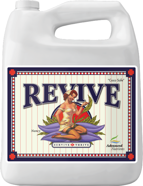 Revive