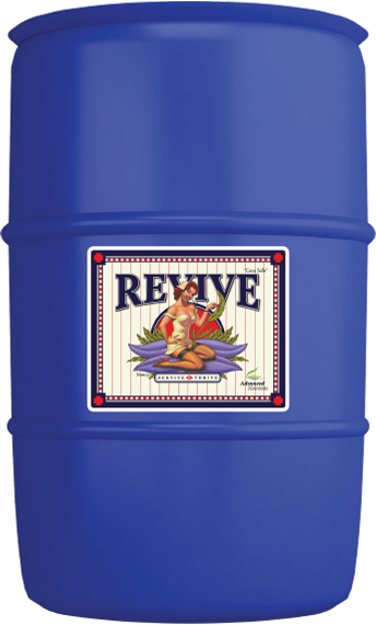 Revive