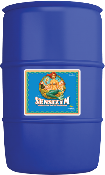 Sensizym