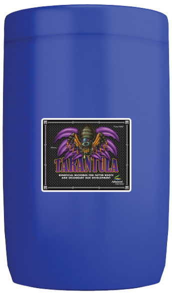 Tarantula