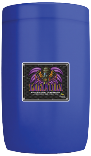 Tarantula