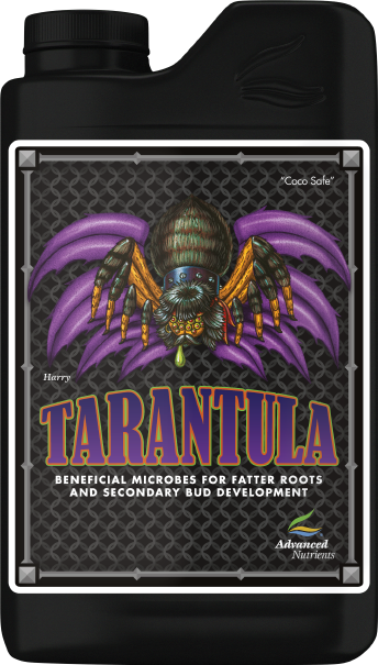 Tarantula
