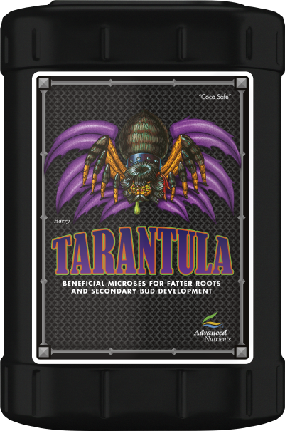 Tarantula