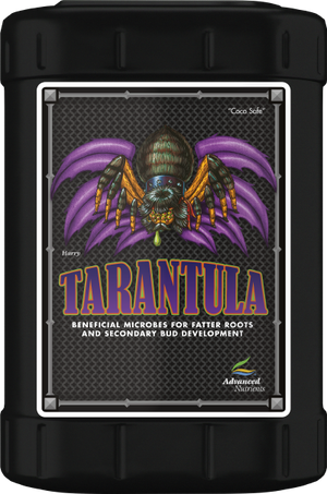 Tarantula