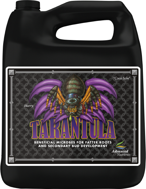 Tarantula