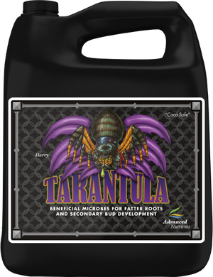 Tarantula