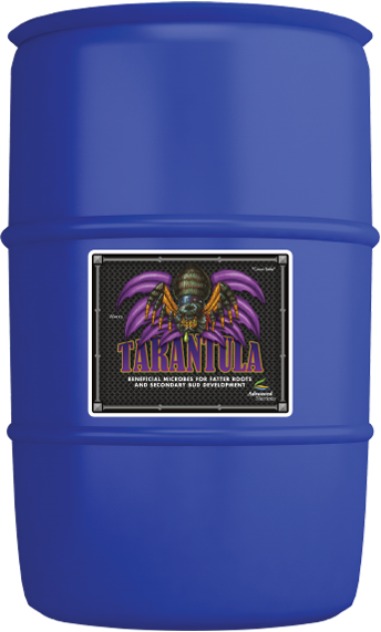 Tarantula