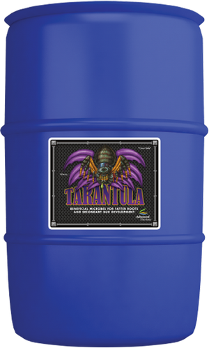 Tarantula