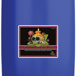 Voodoo Juice