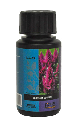 B'Cuzz Blossom Builder