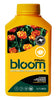 Bloom Final - BloomYellowBottles