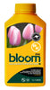 Bloom PK - BloomYellowBottles
