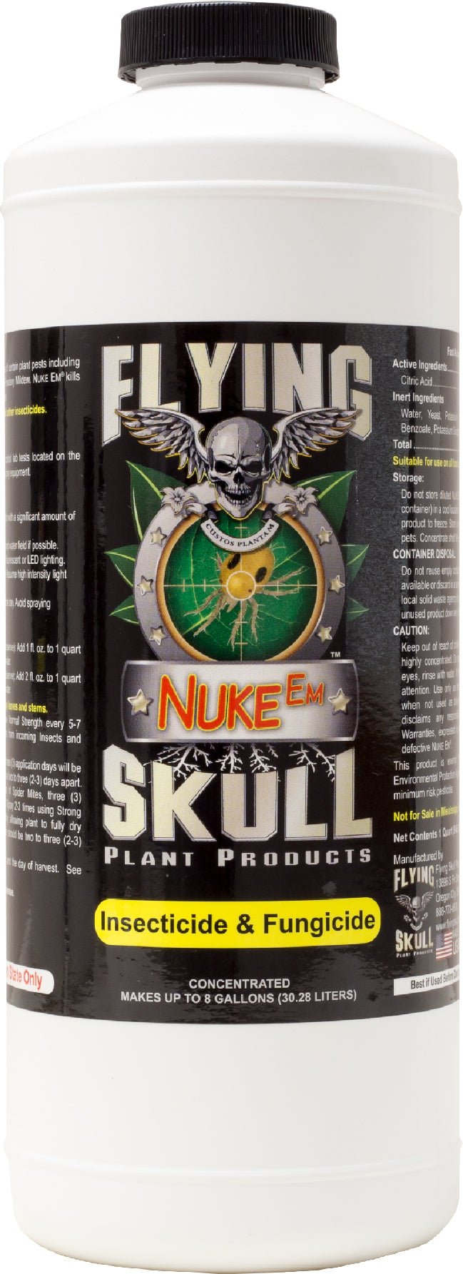 Flying Skull Nuke Em
