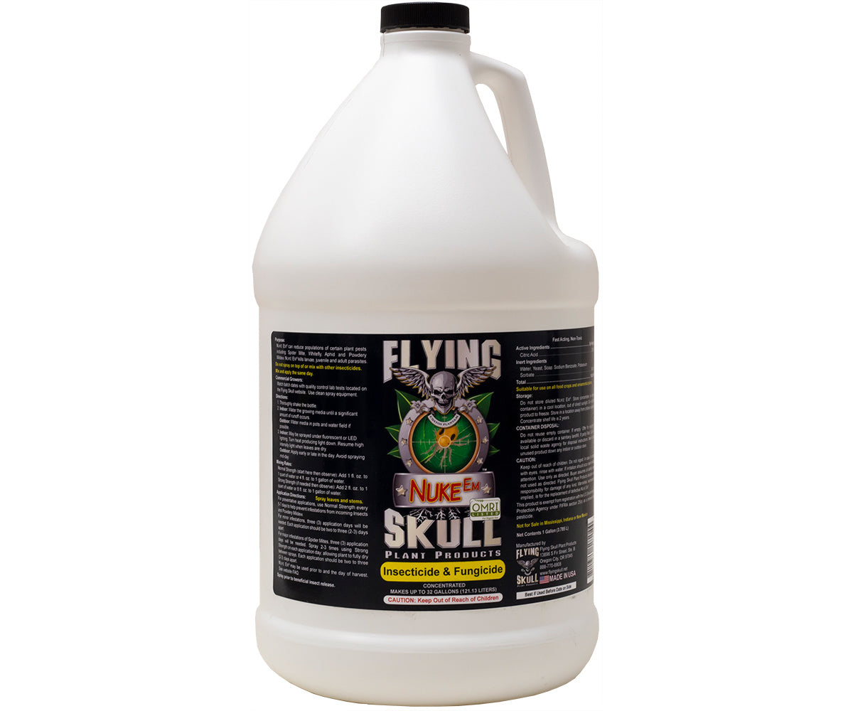 Flying Skull Nuke Em - Thumbnail 5