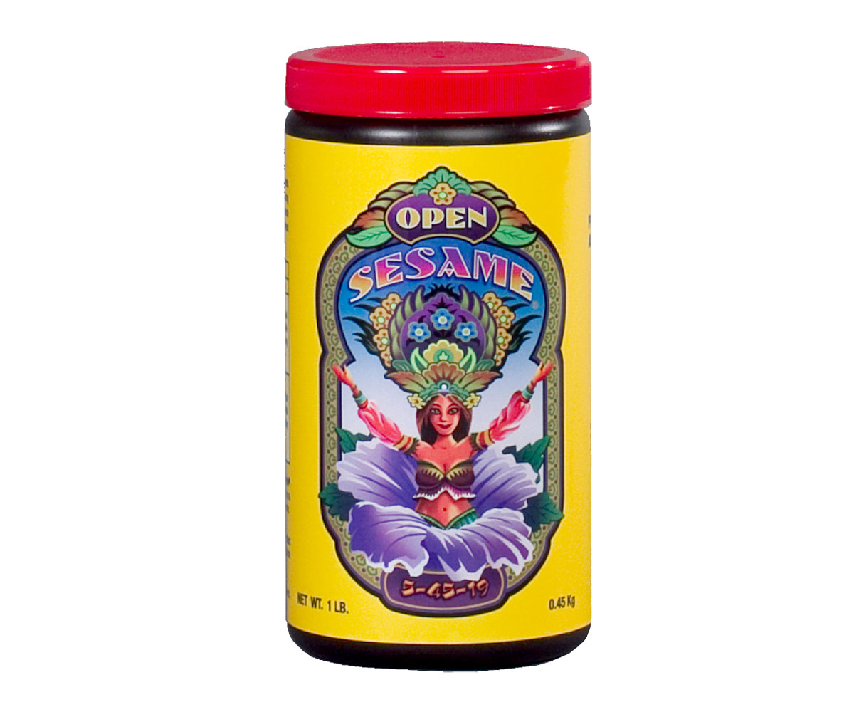 Open Sesame - Thumbnail 5