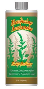 Mendocino Avalanche