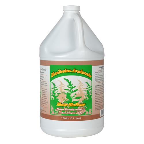 Mendocino Avalanche