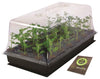 Super Sprouter® Heated Propagation Station® with 7 in Dome