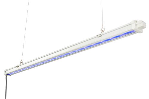 Gavita UVR LED