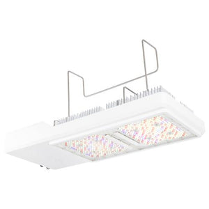 Gavita CT1930e LED 120-277V