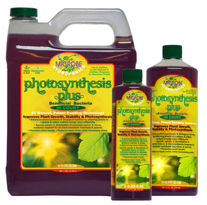 Photosynthesis Plus