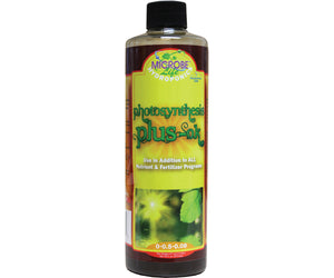 Photosynthesis Plus-OK