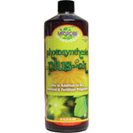 Photosynthesis Plus-OK