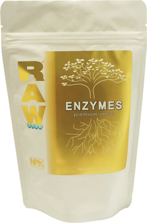 RAW Enzymes