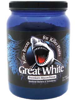 Great White