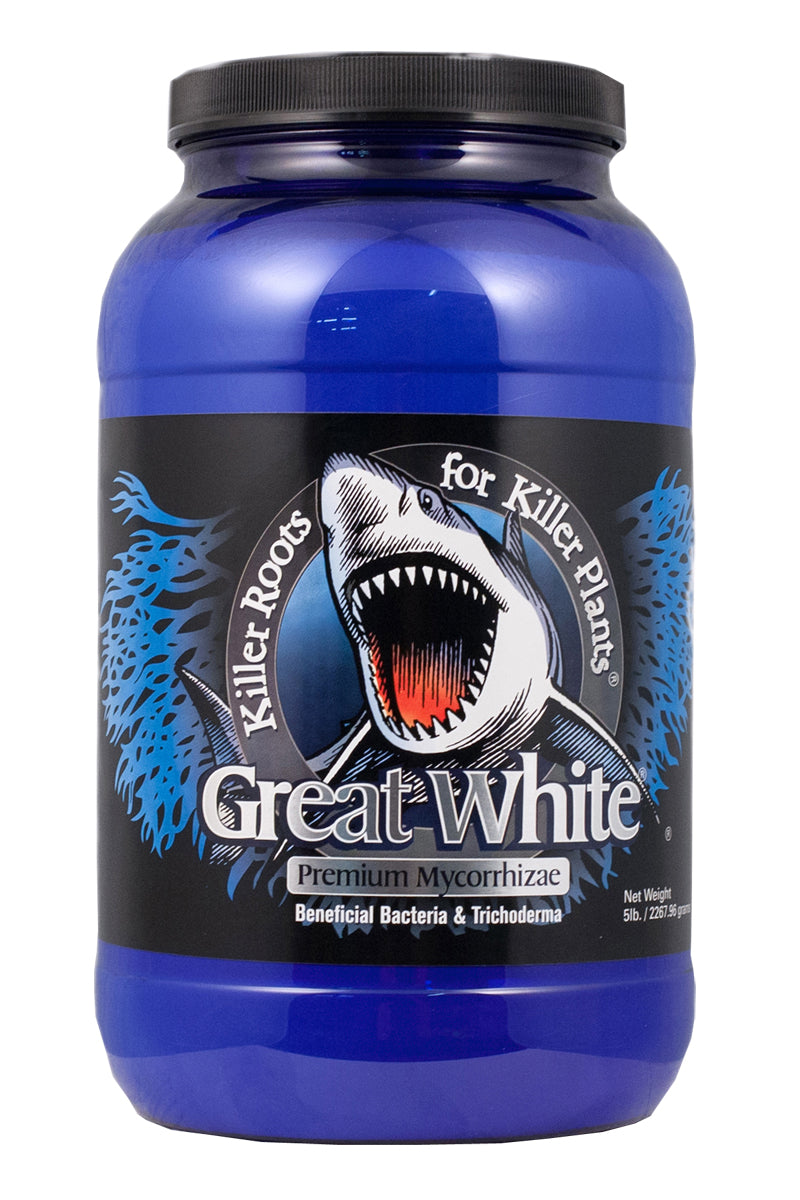 Great White