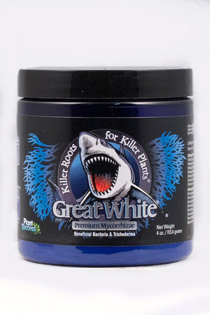 Plant Success Inert Great White