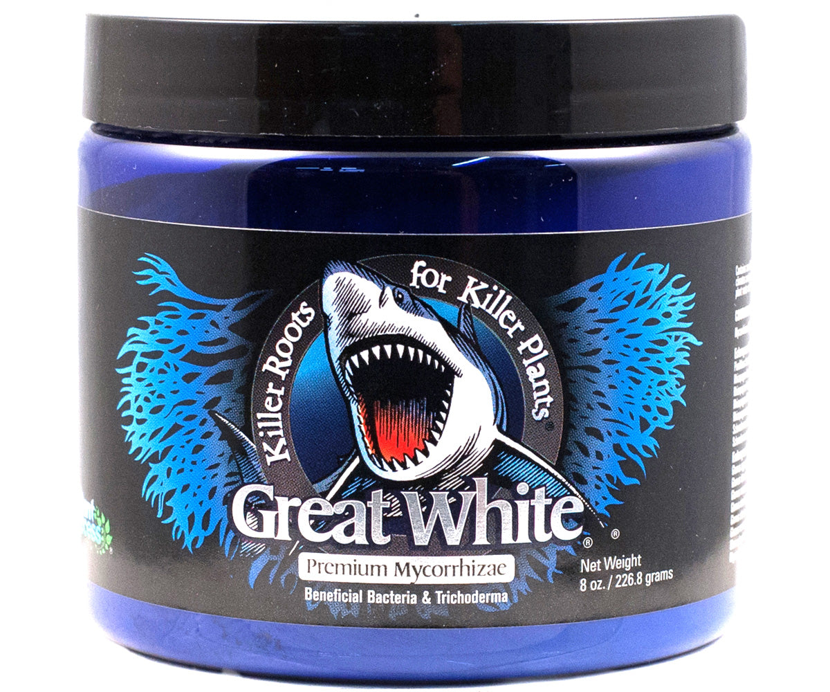 Plant Success Inert Great White