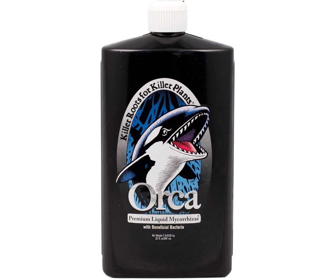 Orca