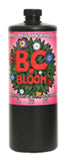 B.C. Bloom