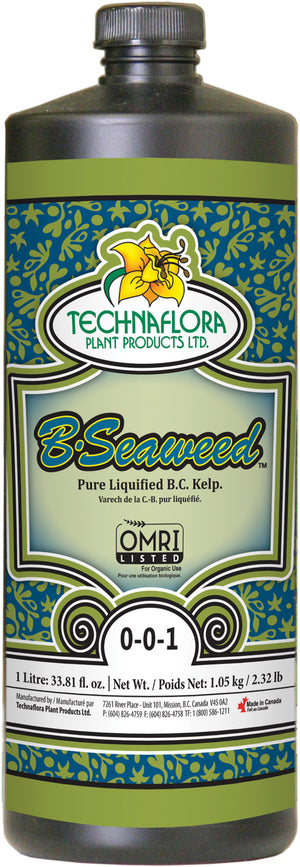 B. Seaweed